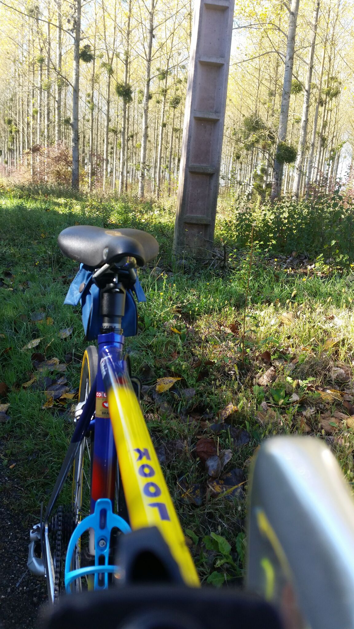 MPi7RsgDPrCYe8Z3eM__AlytV7kuGhoPlygIDRDNlFI,ZekCVt2wYNHrFD-mChOO0TXj00z3wdCVdHdUJh595fw