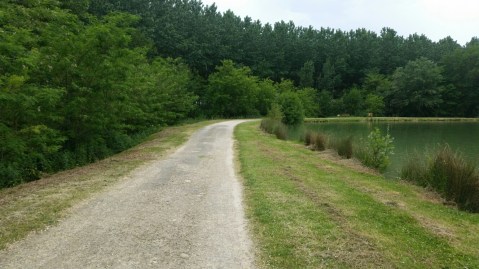 59f361c0-8ecd-4af8-90bd-676e30701bb6