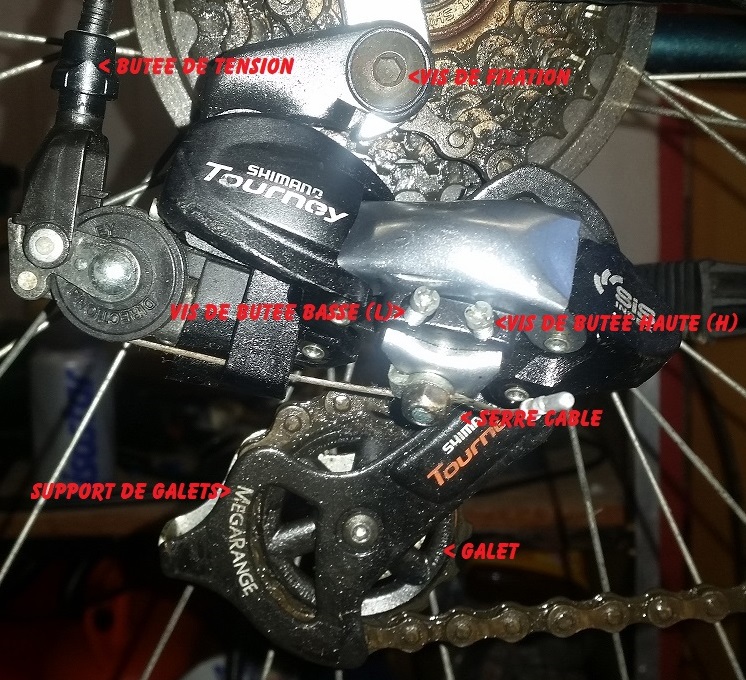 20171106_173057.jpg