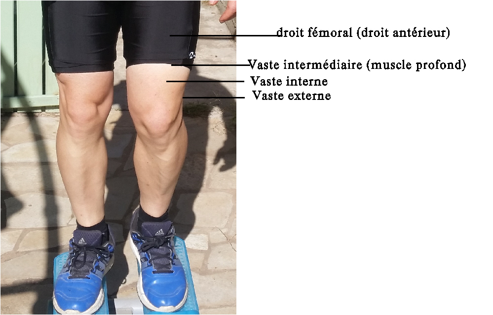 quadricept complet photo moi pour site