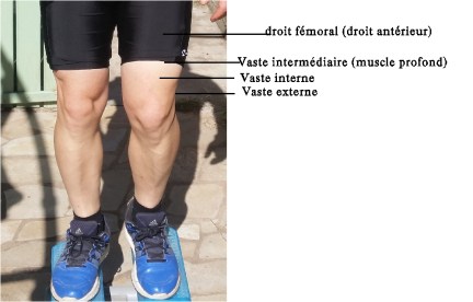 quadricept complet photo moi pour site