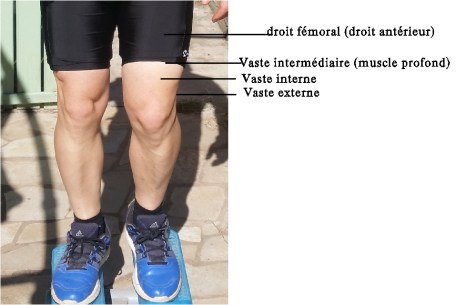 quadricept complet photo moi pour site