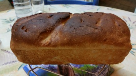 FB_IMG_1455992036365_optimized