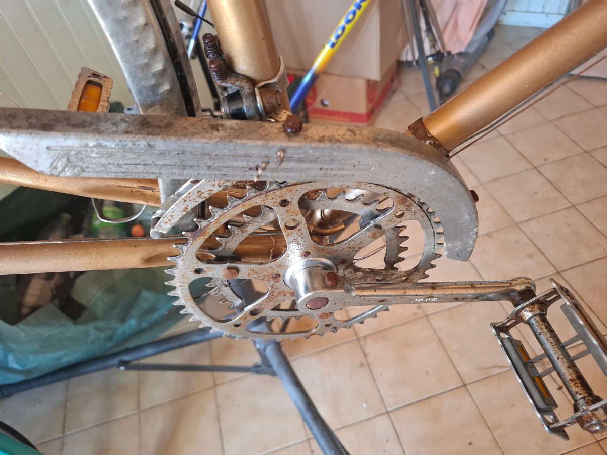 Je renoue avec ma passion, mais pour l&rsquo;instant, de manière&nbsp;modérée.